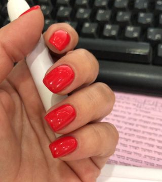 WhatsApp Image 2026-02-09 at 10.31.50 (4)