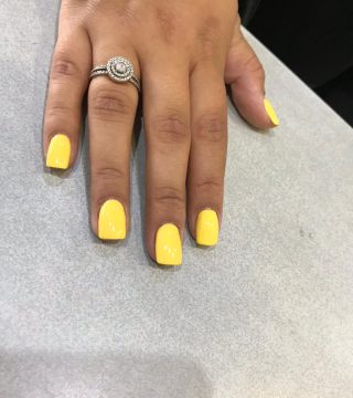 WhatsApp Image 2026-02-09 at 10.31.50 (6)